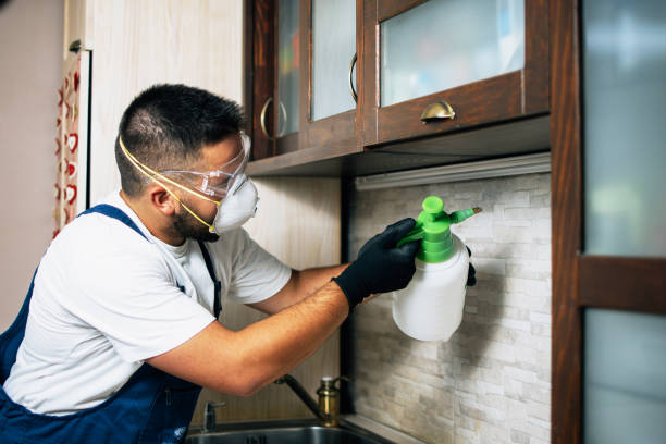 Best Wildlife Control Services  in Omao, HI