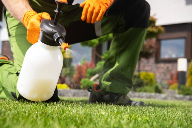 Best Pest Inspection Near Me  in Omao, HI