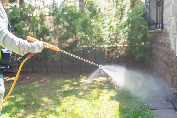 Best Best Pest Control Companies  in Omao, HI