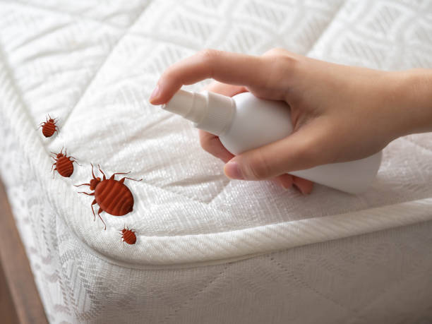 Best Pest Removal Services  in Omao, HI